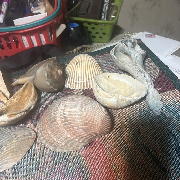 Craft - Picture 2 of 2